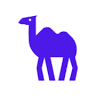 CAMEL логотип