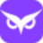 Owlity логотип